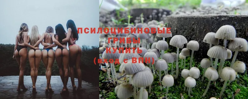 Псилоцибиновые грибы Magic Shrooms  Северодвинск 